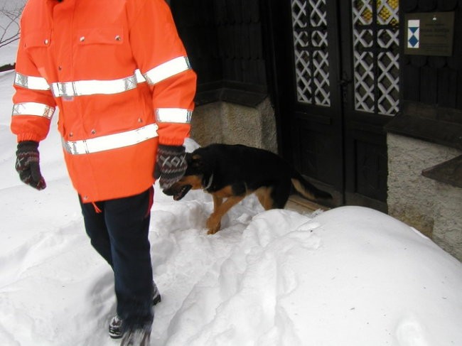 Vršič Zimski tabor - Lavine 11-12.3.05 - foto povečava