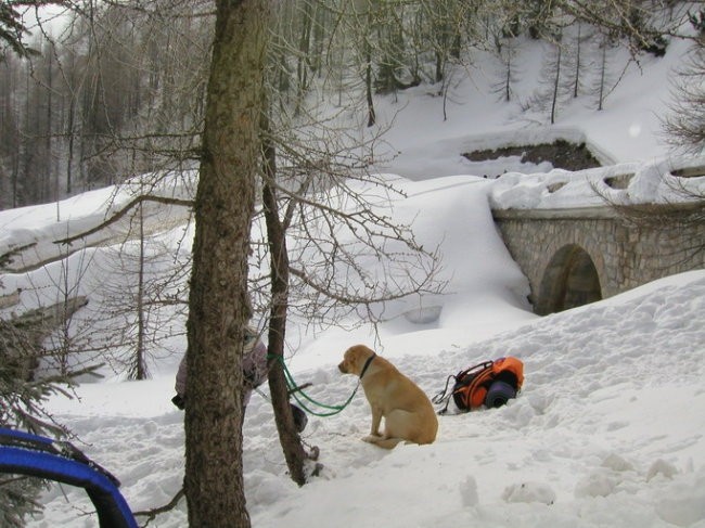 Vršič Zimski tabor - Lavine 11-12.3.05 - foto povečava