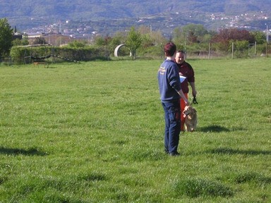 Kvalifikacije za svetovno prvenstvo - Koper 3 - foto povečava