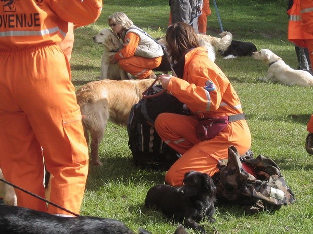 Vaja Enot reševalnih psov v Tržiču, maj 2005 - foto