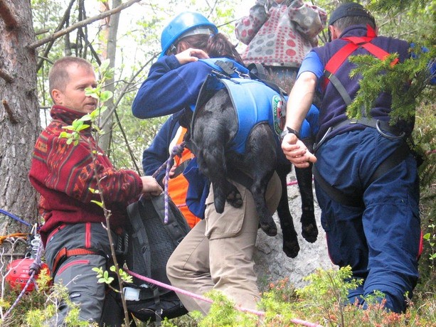 Vaja Enot reševalnih psov v Tržiču, maj 2005 - foto