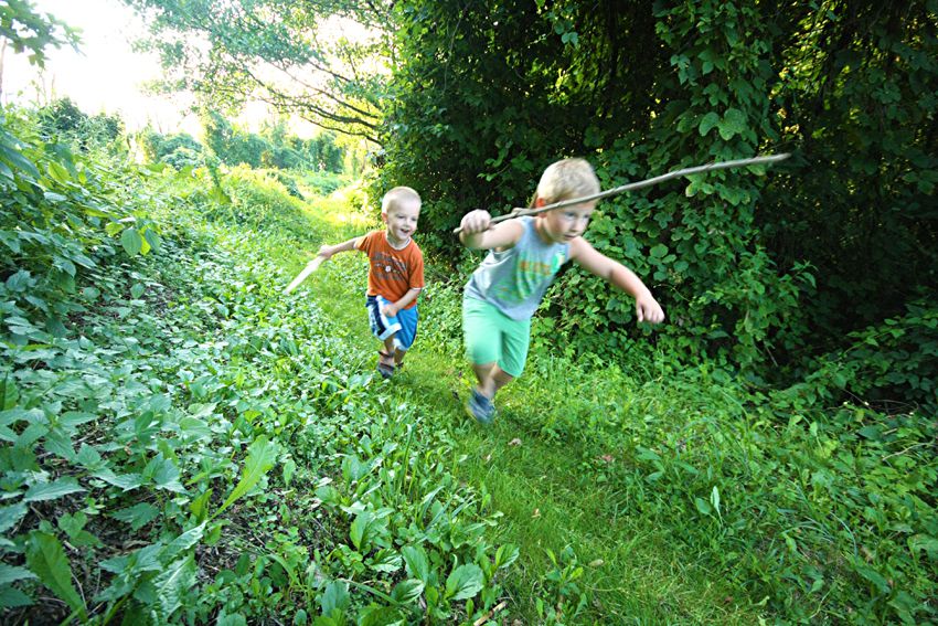 04 poletje jesen 2010 - foto povečava