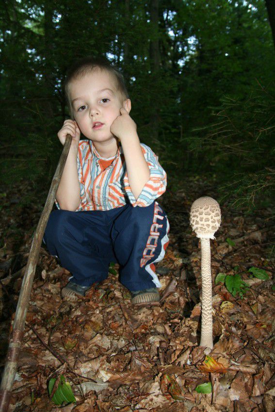04 poletje jesen 2010 - foto povečava
