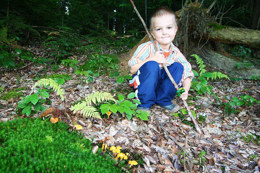 04 poletje jesen 2010 - foto povečava