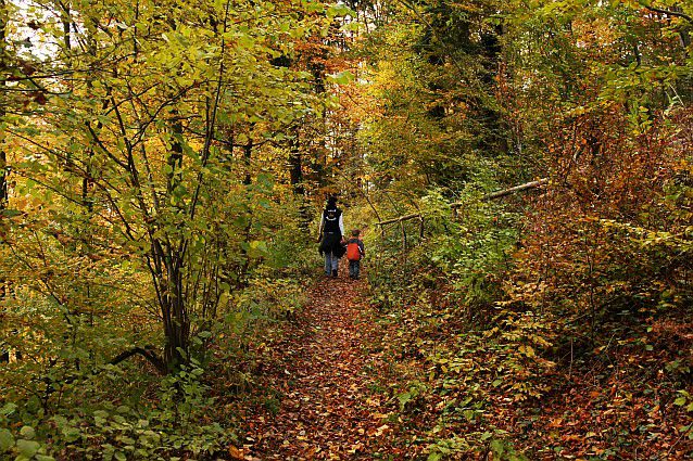 04 poletje jesen 2010 - foto povečava