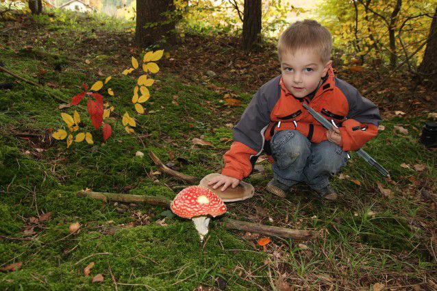 04 poletje jesen 2010 - foto povečava