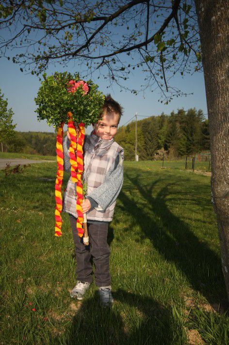 06 pomlad poletjje 2011 - foto