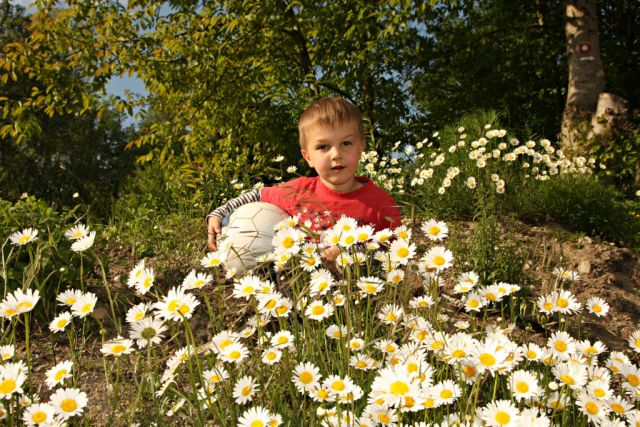 06 pomlad poletjje 2011 - foto