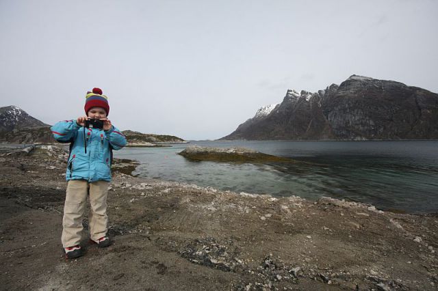 Rene na arktičnem severu Norveške, maj 2012 - foto