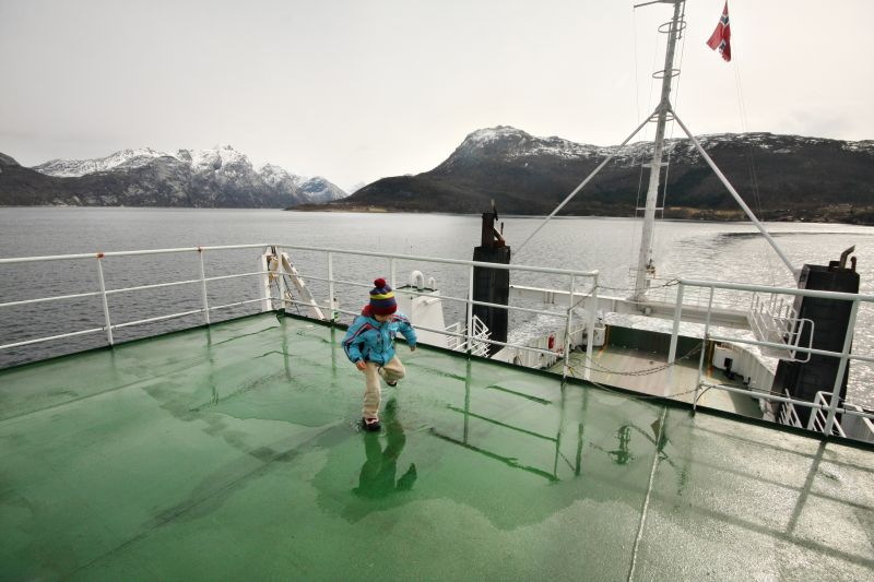 Rene na arktičnem severu Norveške, maj 2012 - foto povečava