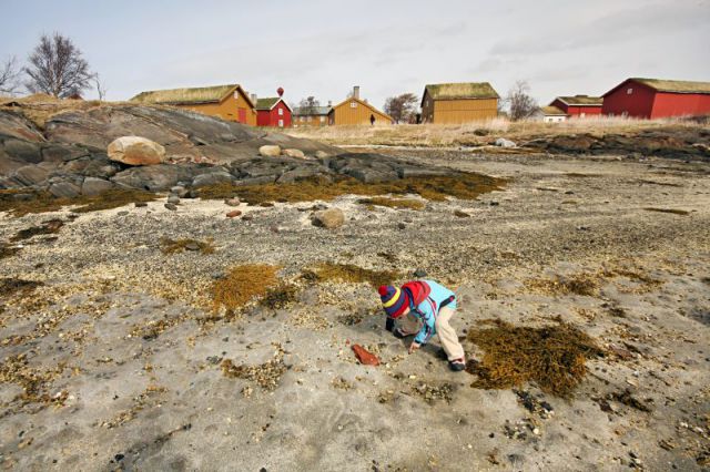 Rene na arktičnem severu Norveške, maj 2012 - foto