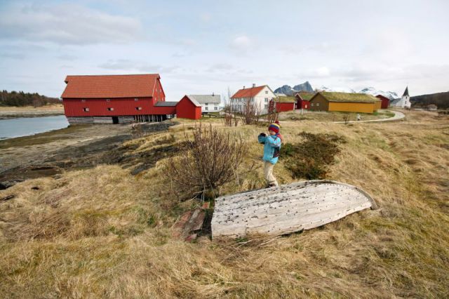 Rene na arktičnem severu Norveške, maj 2012 - foto