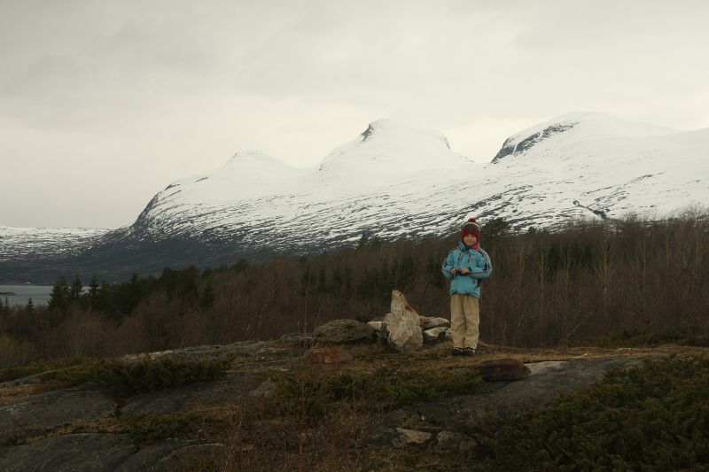Rene na arktičnem severu Norveške, maj 2012 - foto povečava