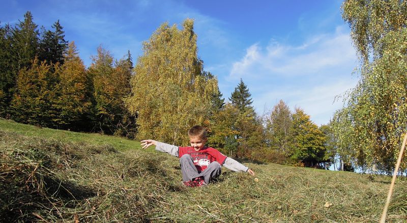 11 jesen zima 2012 - foto povečava