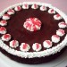 čokoladna torta brez moke (Riko  3454)