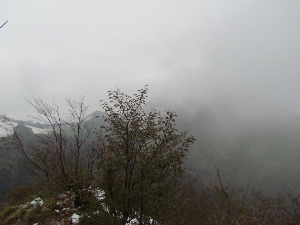Zanimive planinske 2011 - foto povečava