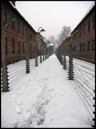 Auschwitz, 02.01.2006 - foto