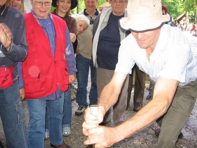 Srečanje objezernih krajev - Bohinj, 2. junij - foto