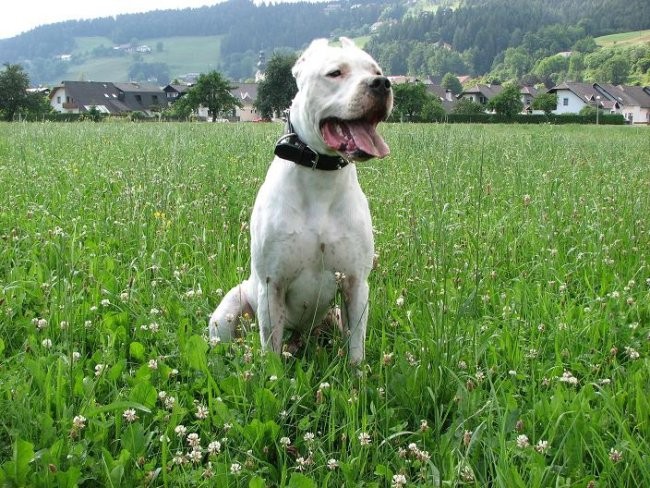 14.06.2007 - foto povečava