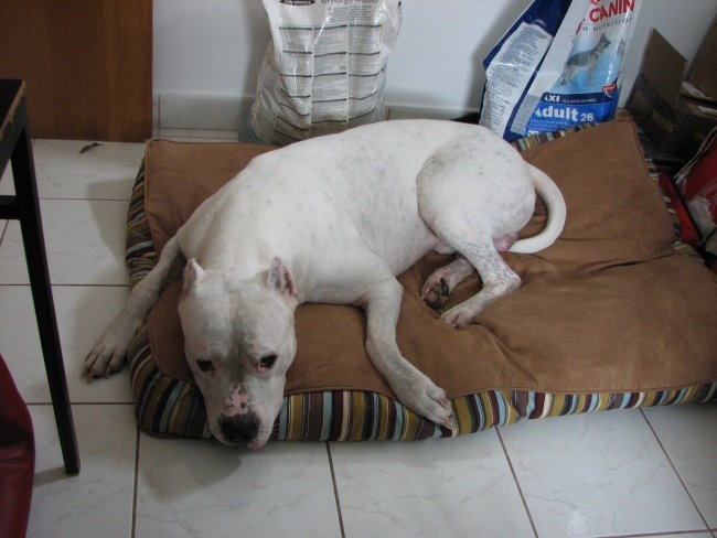 10.10.2007 - foto povečava