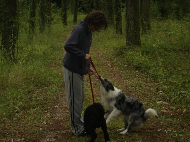 Agility - foto povečava