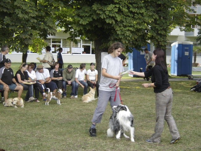 Agility - foto povečava