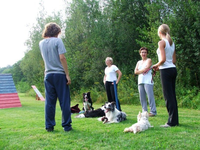 Agility - foto povečava