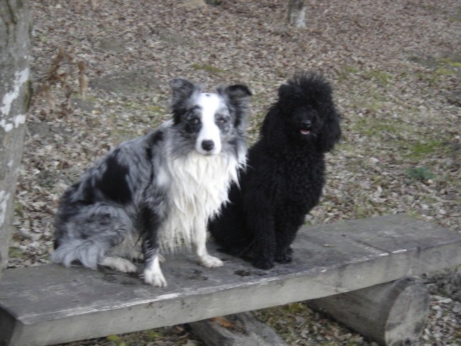 Agility - foto povečava