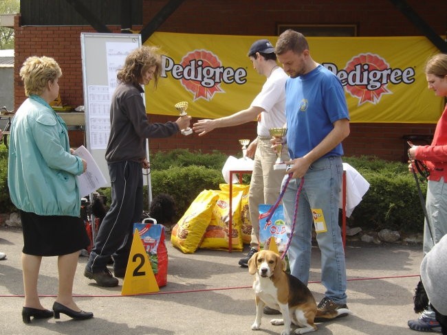 Agility - foto povečava