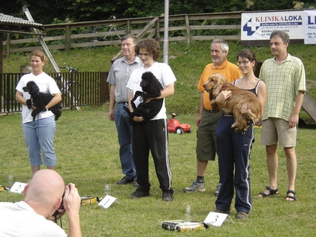 Agility - foto povečava