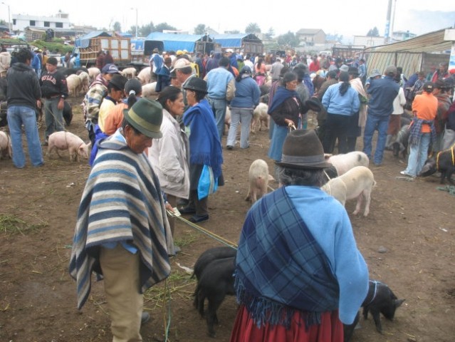 Ecuador - foto