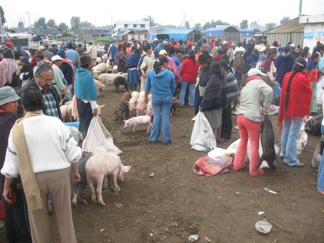 Ecuador - foto povečava