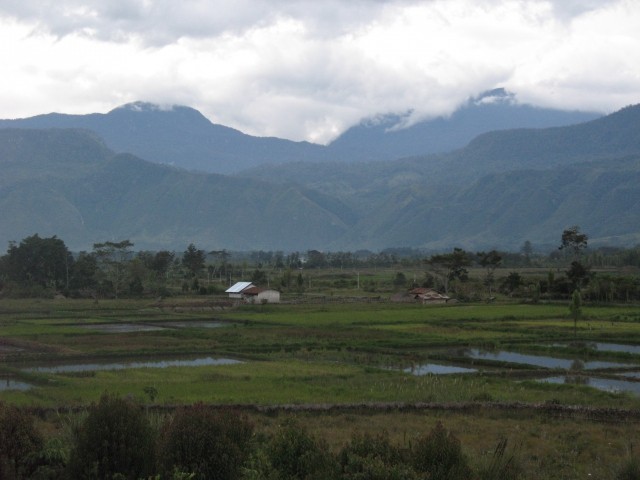 Papua New Guinea - foto