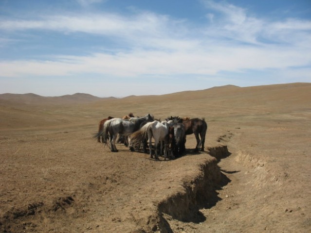 Mongolia - foto