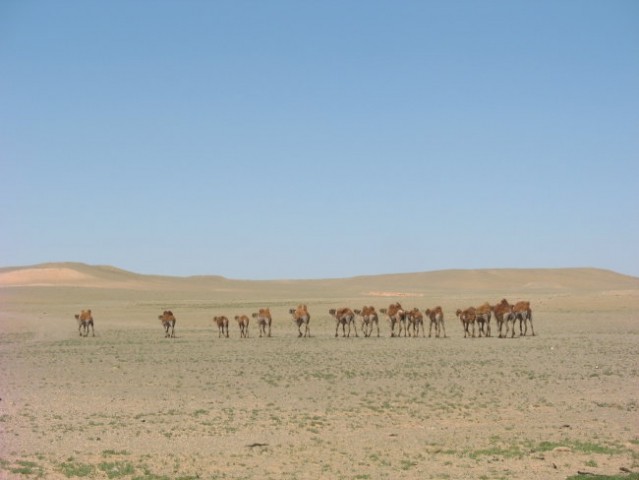 Mongolia - foto