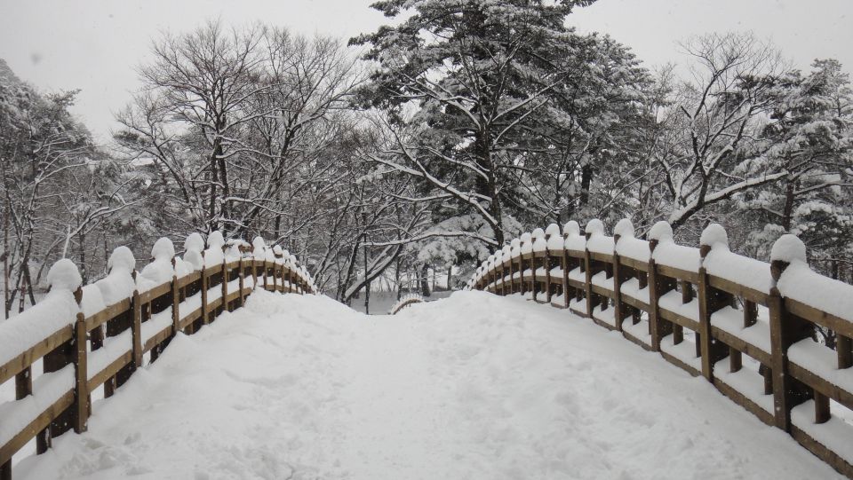 South Korea - foto povečava