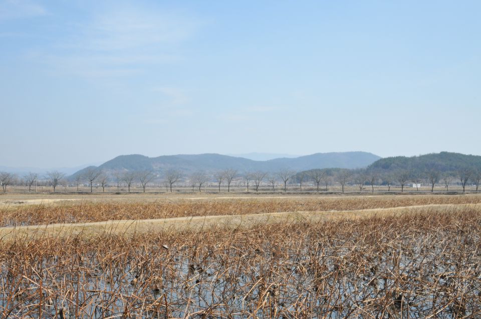 South Korea - foto povečava