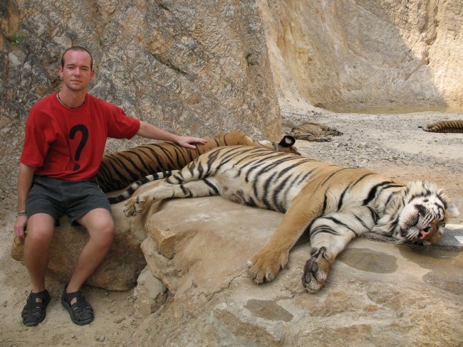 Tiger Temple 