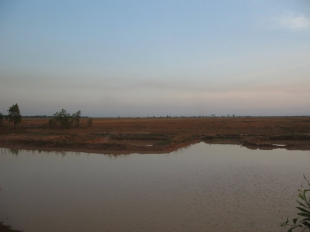 Cambodian landscape