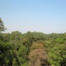 Another view from the top of the temple 
