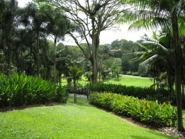 Park