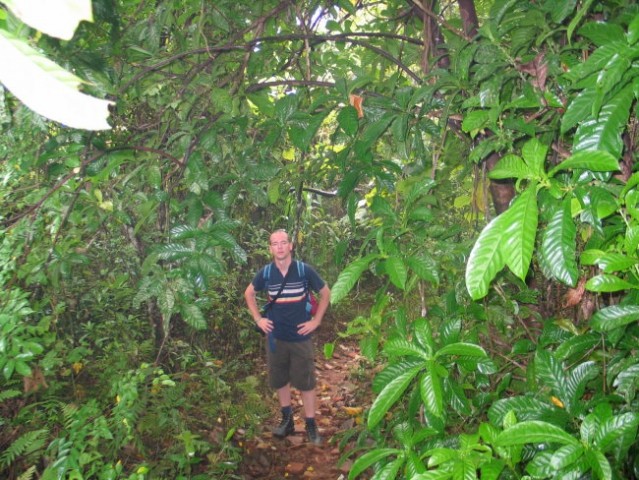 Me in the jungle 