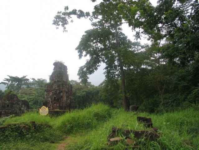 Jungle in central Vietnam