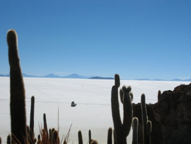 Cactus Island in the Salar de Uyuni