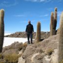 Cactus Island in Salar De Uyuni