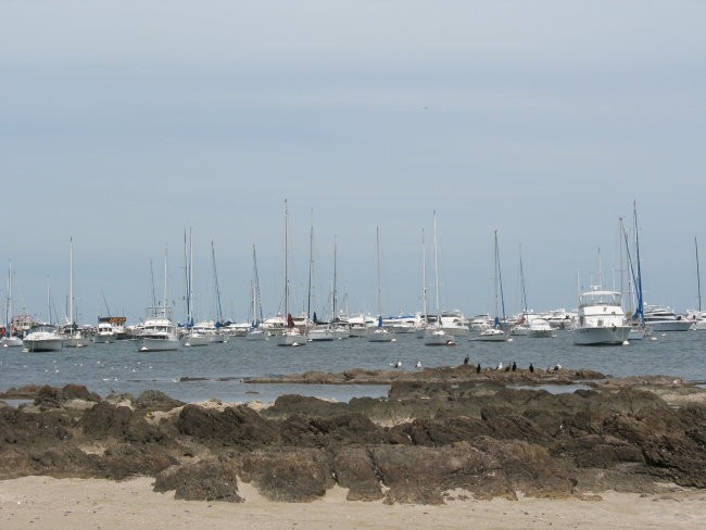 Port in Punta del este