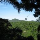View from the Tijuca Forest