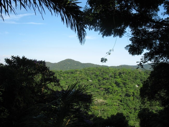 View from the Tijuca Forest