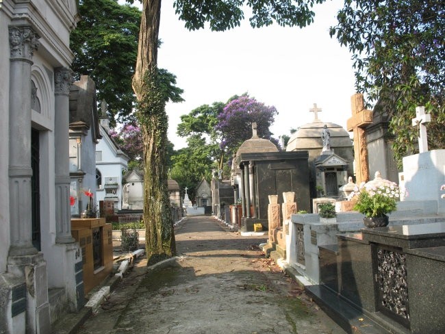 A wander around a cemetery can give you some respite from the constant noise of the city