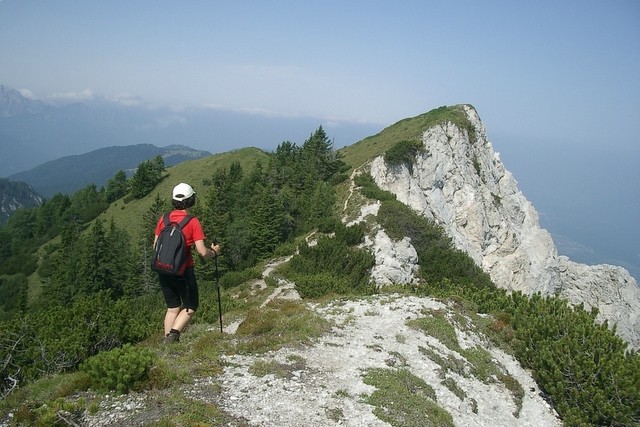 Vandrovca - foto povečava